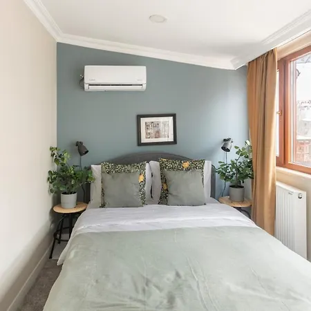 Distinguished Flat 650 M To Galata Tower Apartment Istanbul